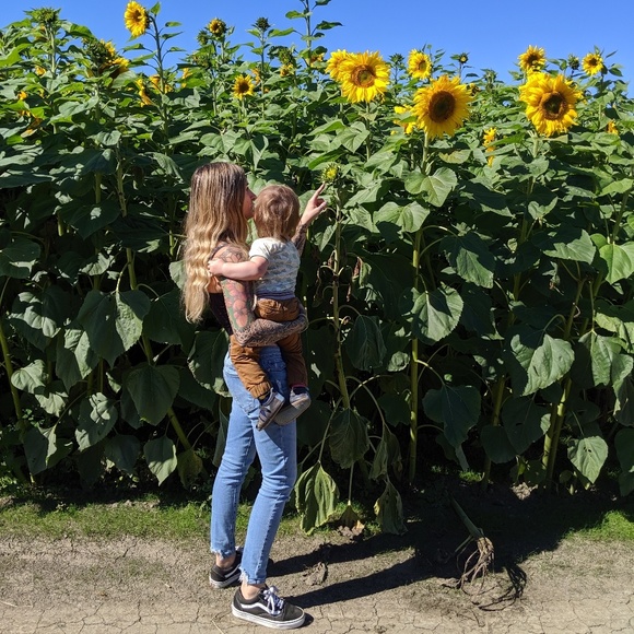 Meet your Posher, Harmonie - Picture 1 of 1